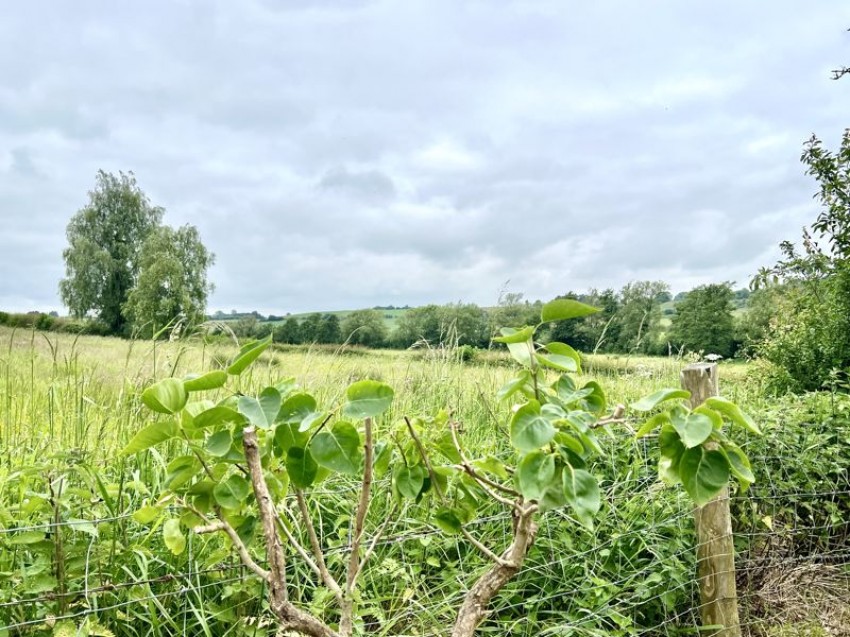 Images for Hilmarton, Calne