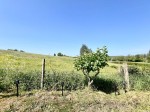 Images for Hilmarton, Calne