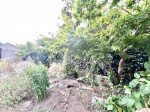Images for Springfield Drive, Calne