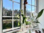 Images for Hill View, Studley
