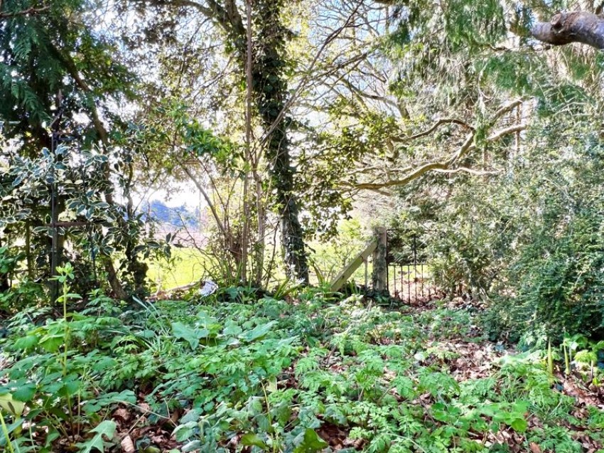 Images for Hill View, Studley