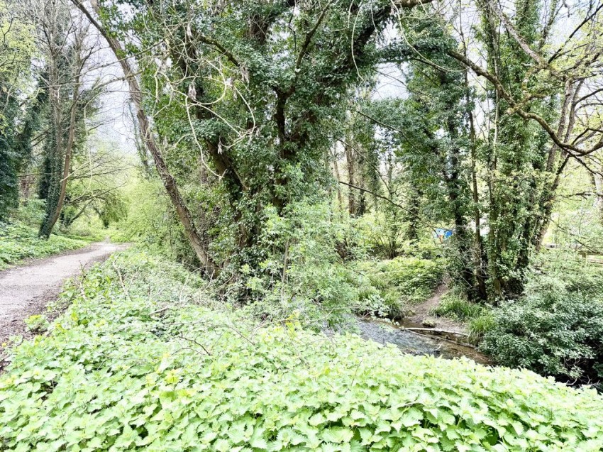 Images for The Woodlands, Calne